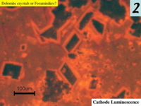 Slide10