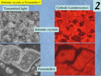 Slide7