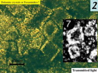 Slide9