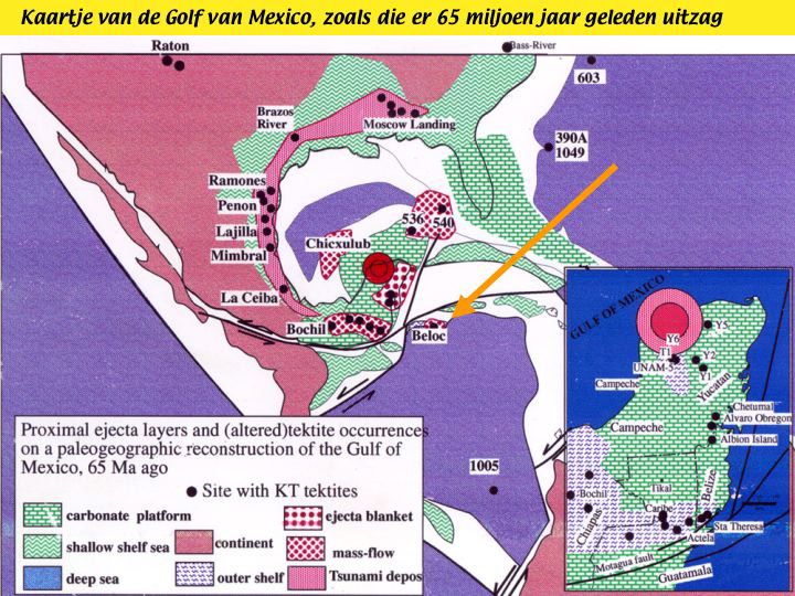 Slide29