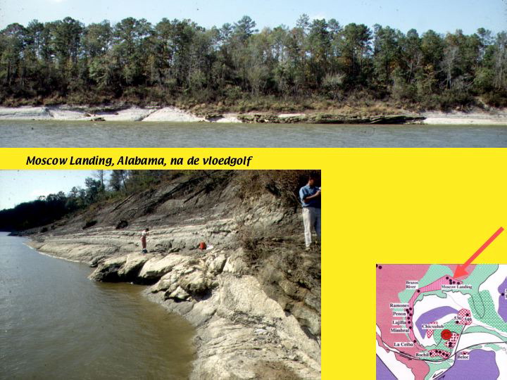 Slide36