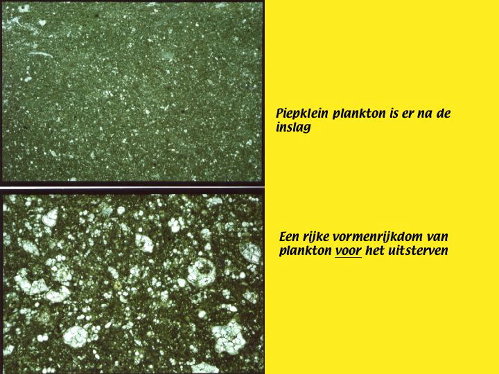 Slide46