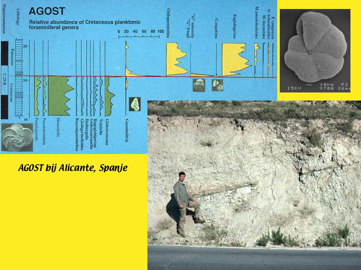 Slide47