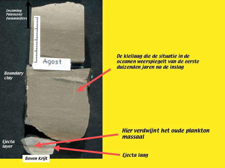 Slide50