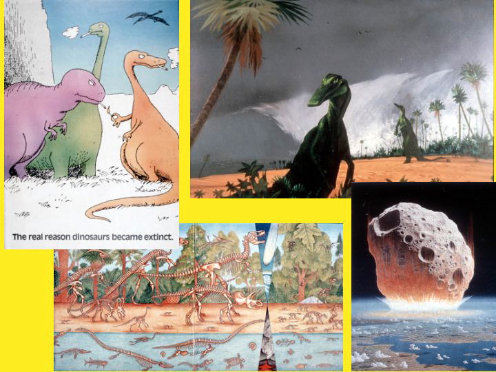 Slide6