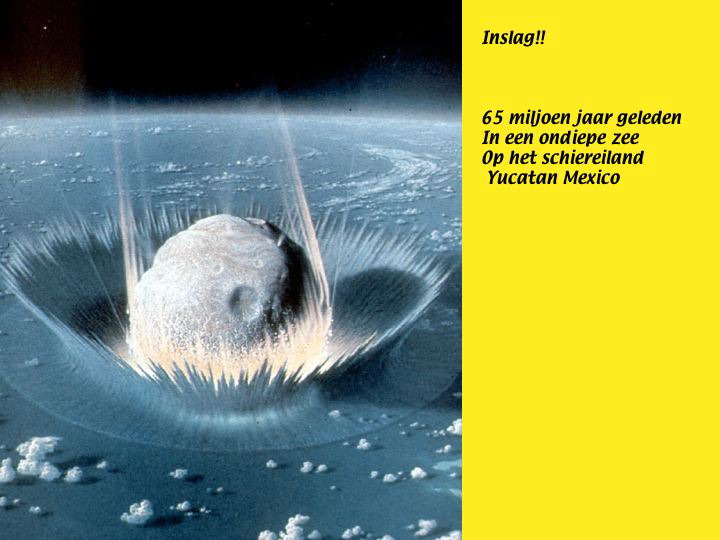 Slide7