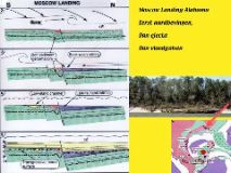 Slide35