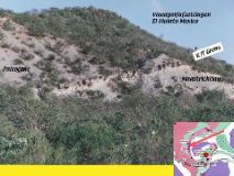 Slide37