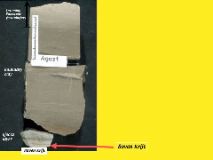 Slide48
