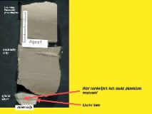 Slide49