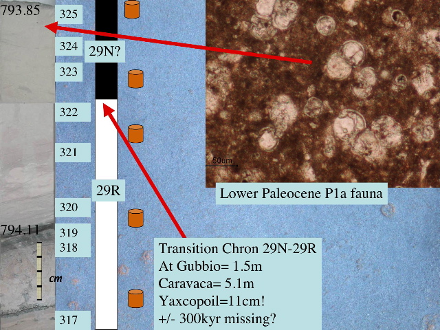 Slide24