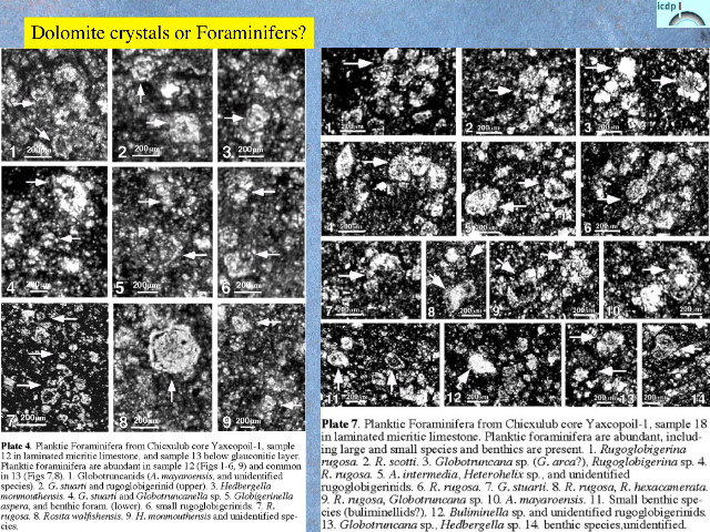 Slide27
