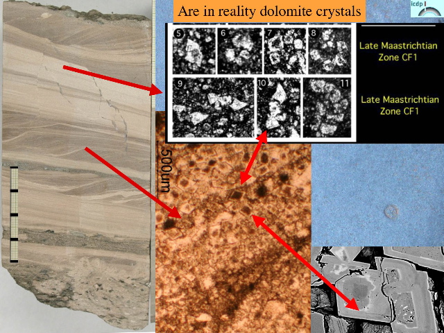 Slide31
