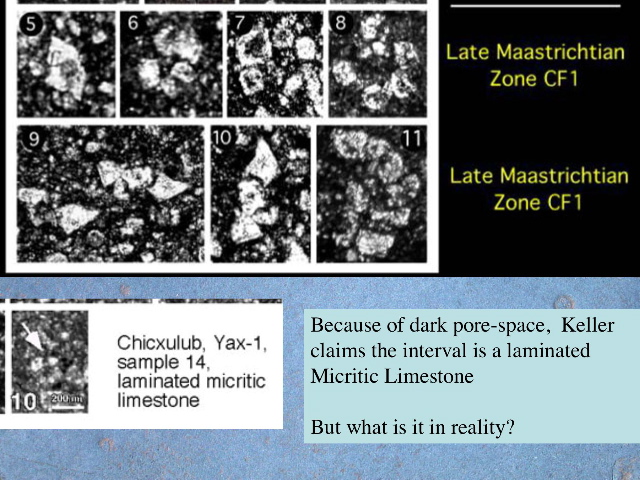 Slide35