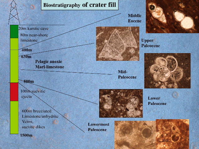 Slide8