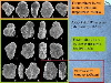 Slide29