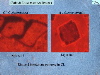 Slide33