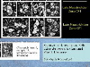 Slide35