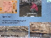 Slide42