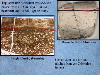 Slide45