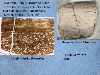 Slide46