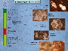 Slide8