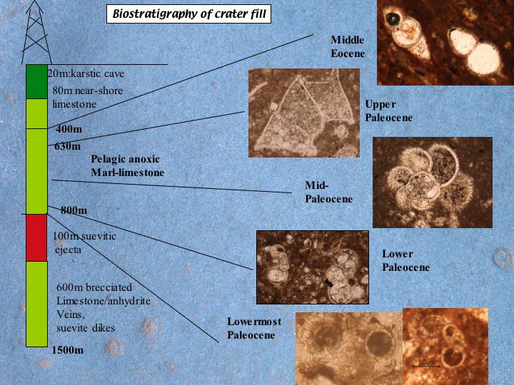 Slide25