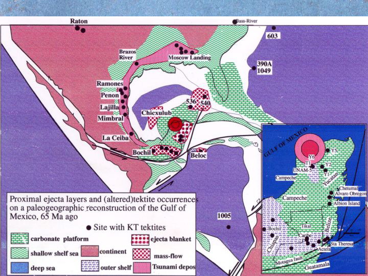 Slide36