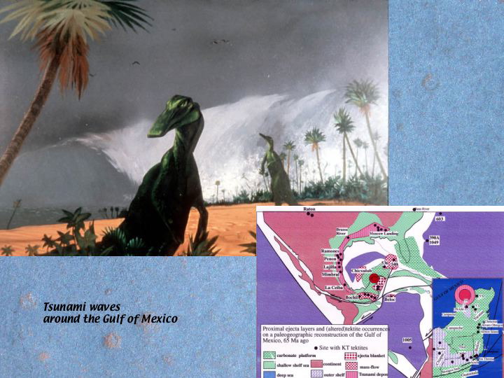 Slide43