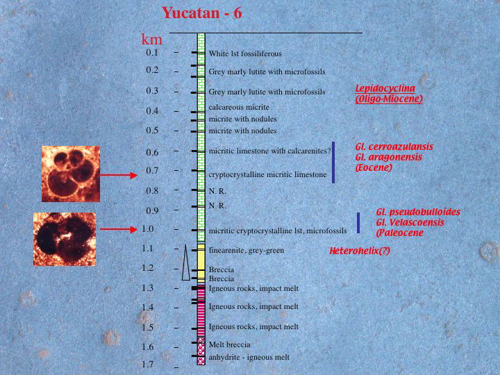 Slide7