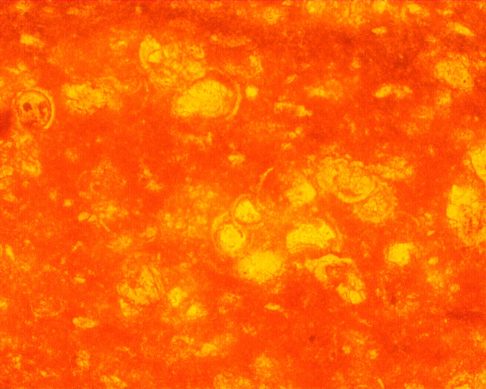 325c1