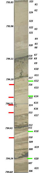 figure7b