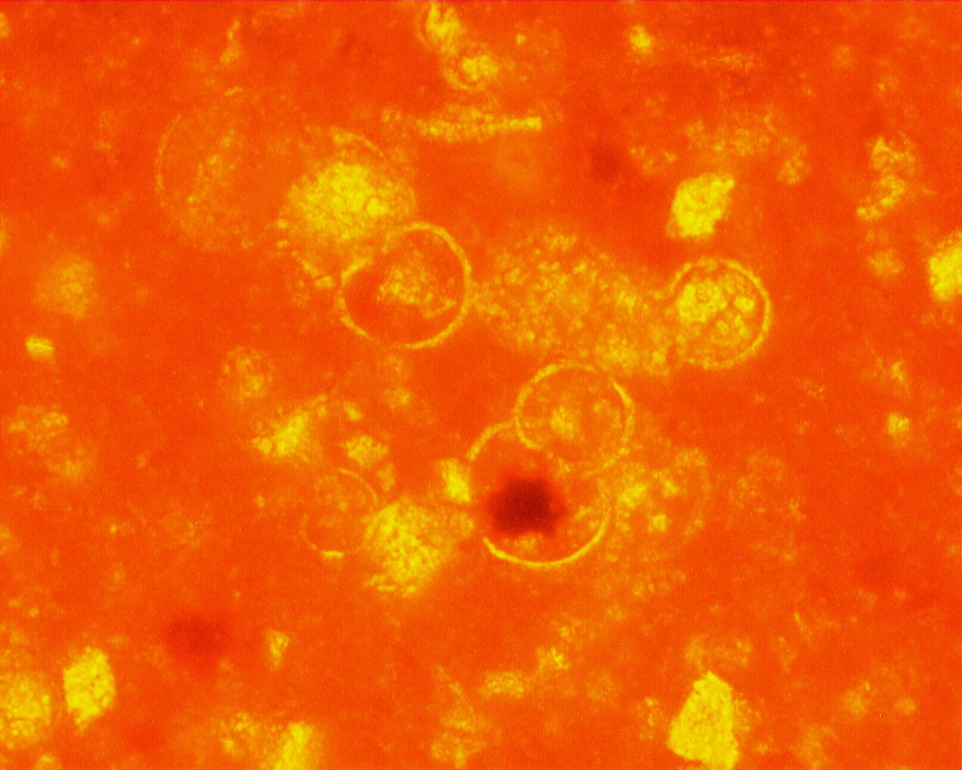324a1