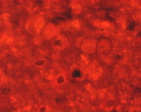 324a