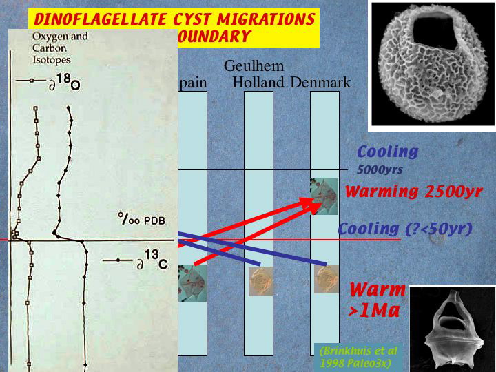 Slide11