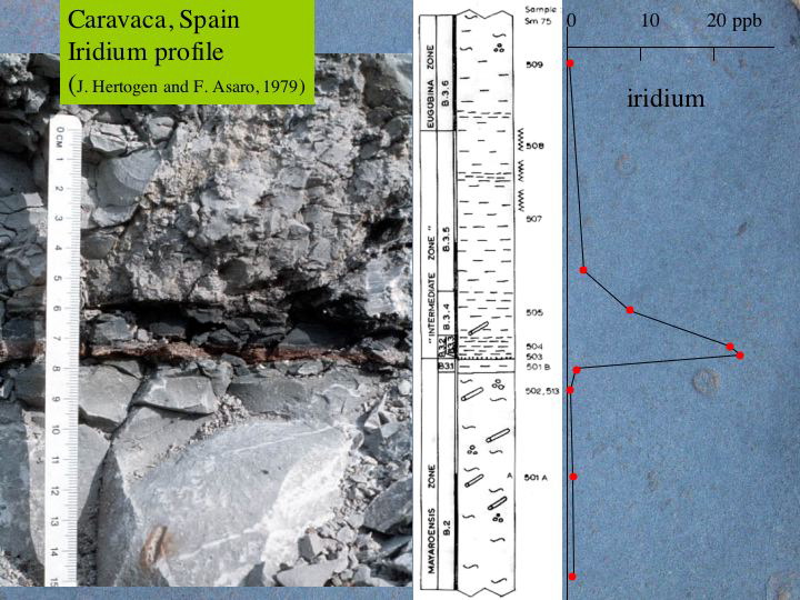 Slide13