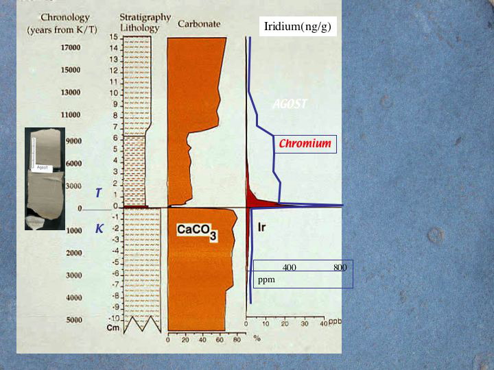 Slide14