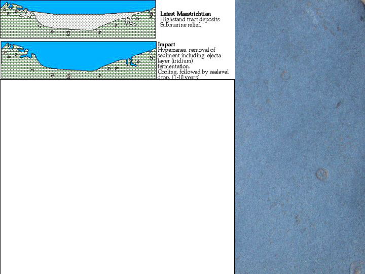 Slide31