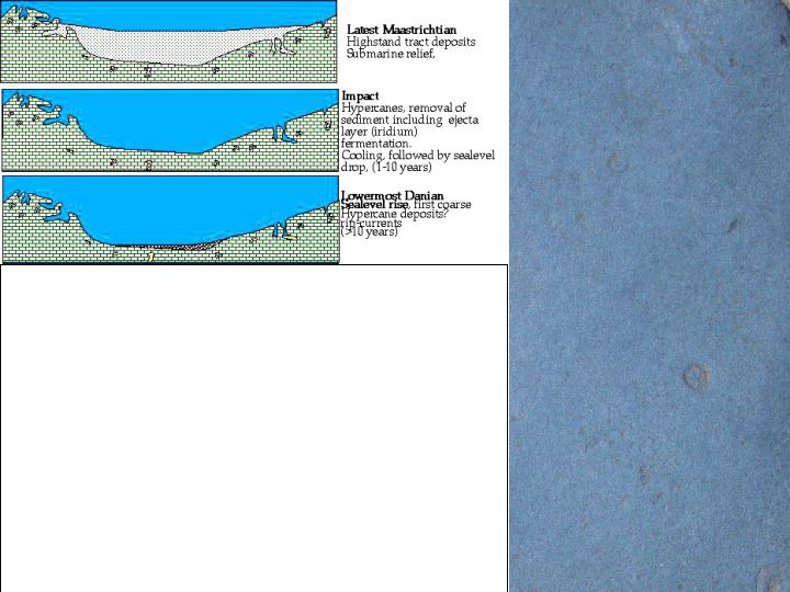 Slide32