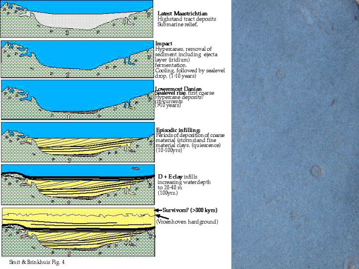 Slide35