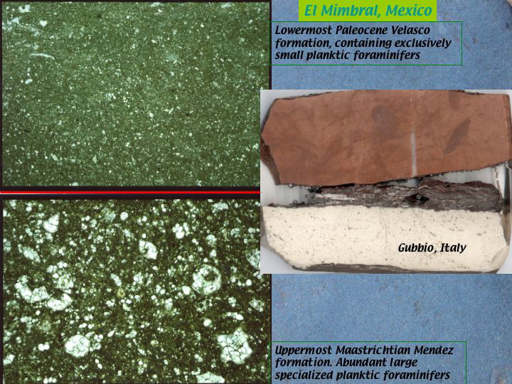 Slide5