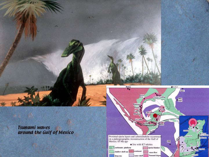 Slide46