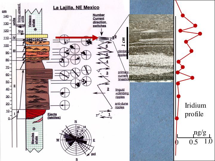 Slide51
