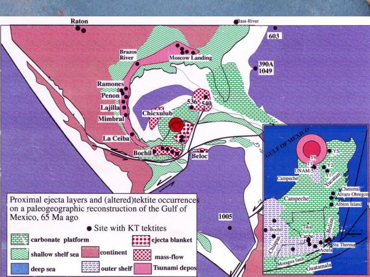 Slide52
