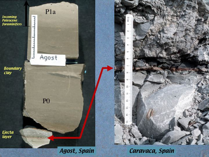 Slide7