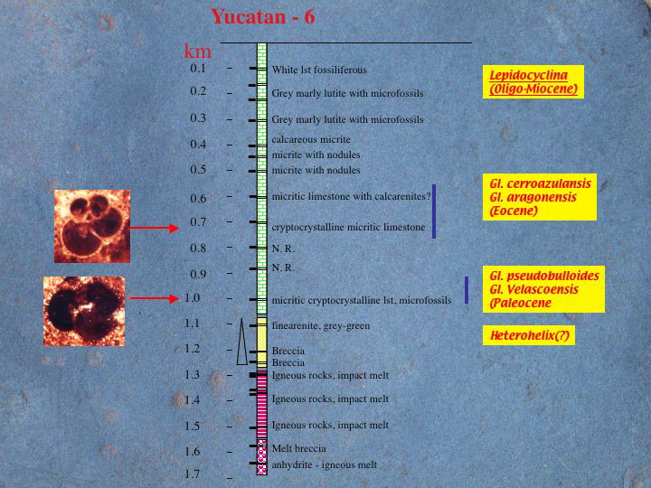 Slide64