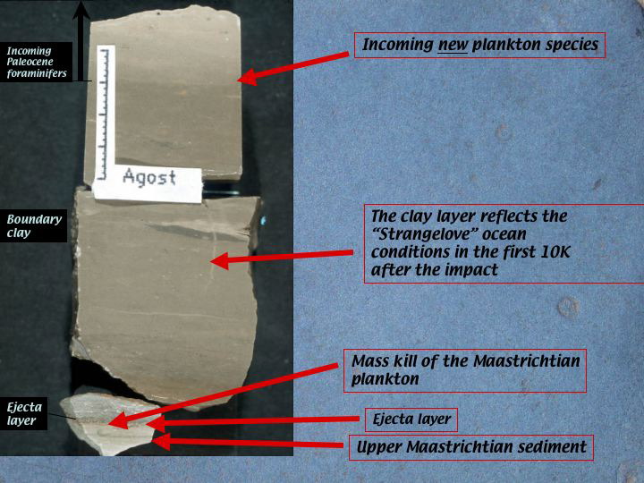 Slide8