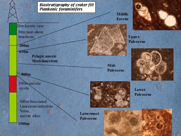 Slide75