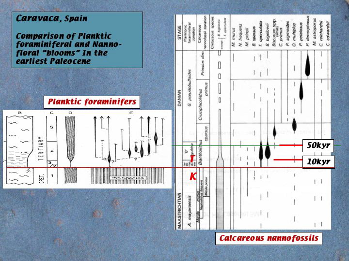Slide10