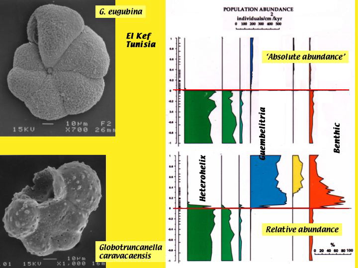 Slide53